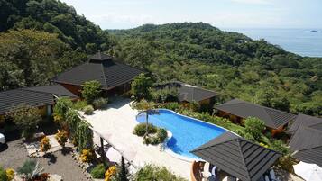 Outdoor pool, pool umbrellas, sun loungers
