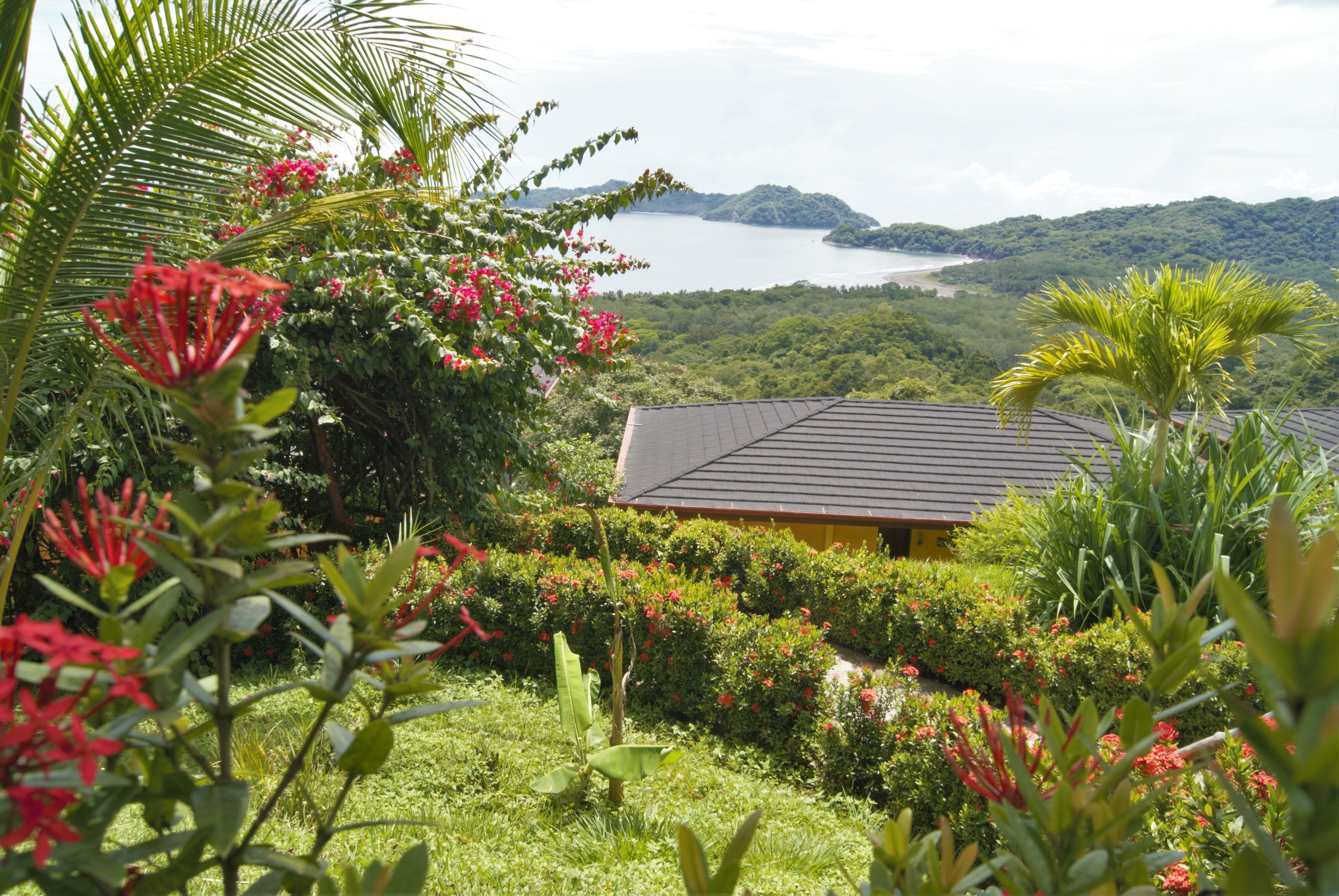 economy room | minibar, in-room safe, desk, free wifi