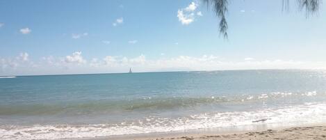 A beach with clear skies, calm water, and a distant sailboat.