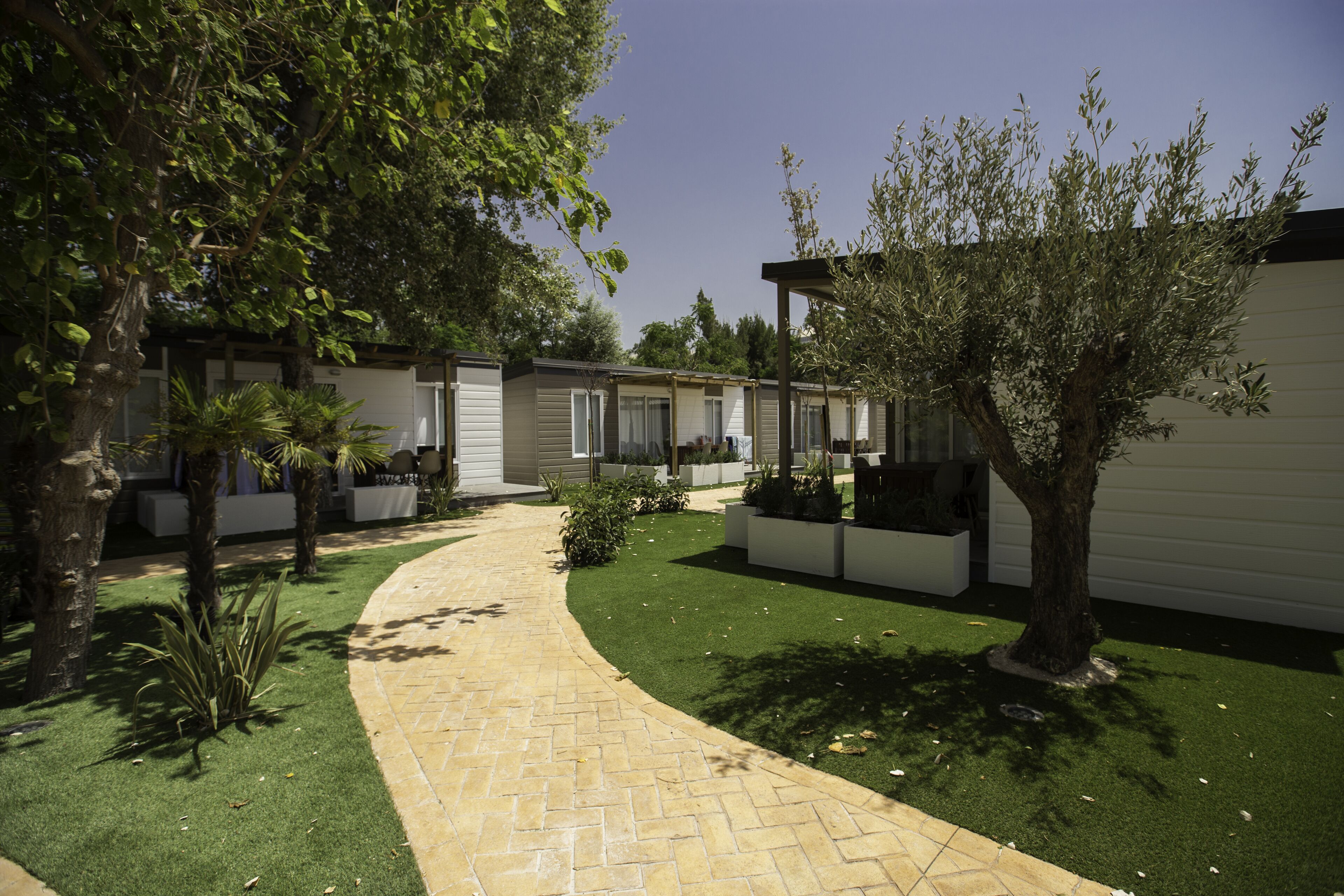 Photo - Camping Los Llanos