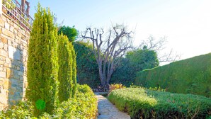 Ein gepflasterter Weg, der von ordentlich geschnittenen Hecken und einem Baum gesäumt wird.