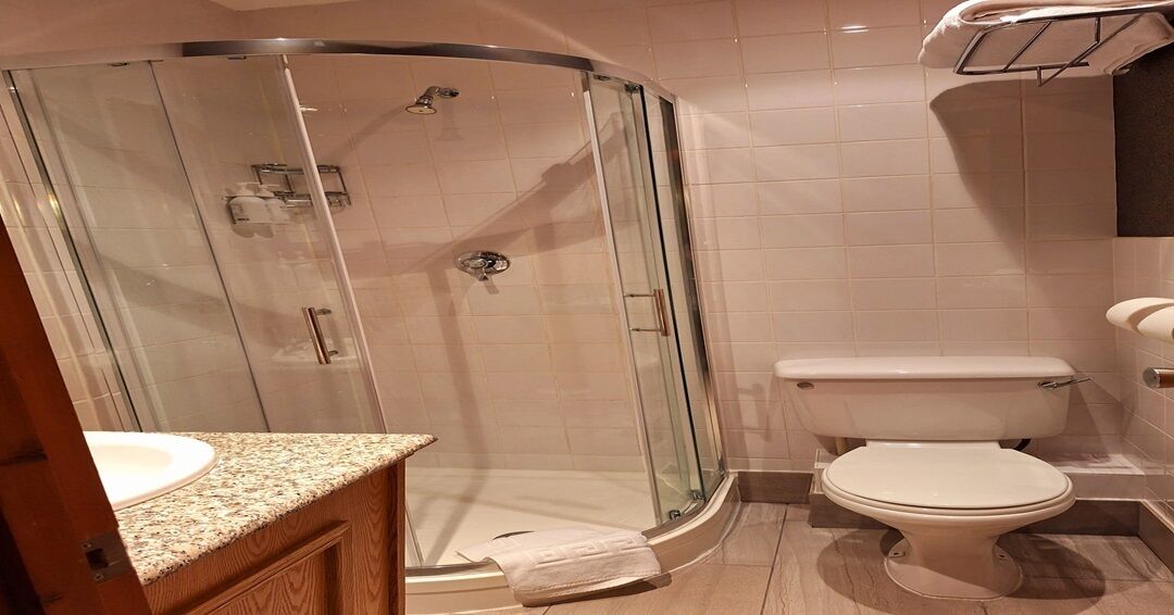 A modern bathroom with a glass-enclosed shower, a toilet, and a sink with a wooden cabinet.