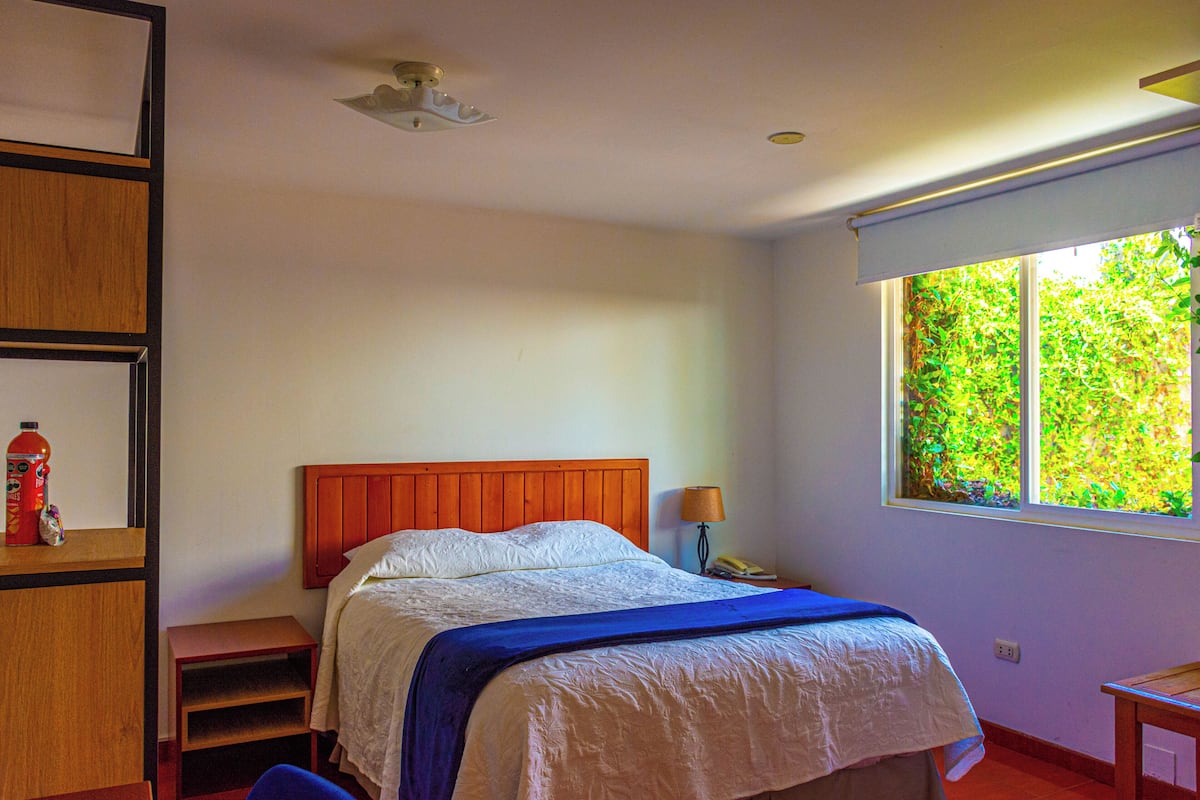 Ein Schlafzimmer mit Bett, Nachttisch, Lampe, Fenster mit Blick auf Grünflächen und Deckenventilator.