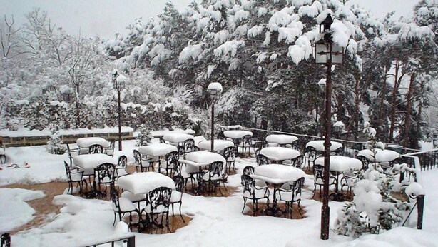 A snow-covered outdoor seating area with tables and chairs, surrounded by trees and a fence. - El Torreón de Navacerrada (Navacerrada)