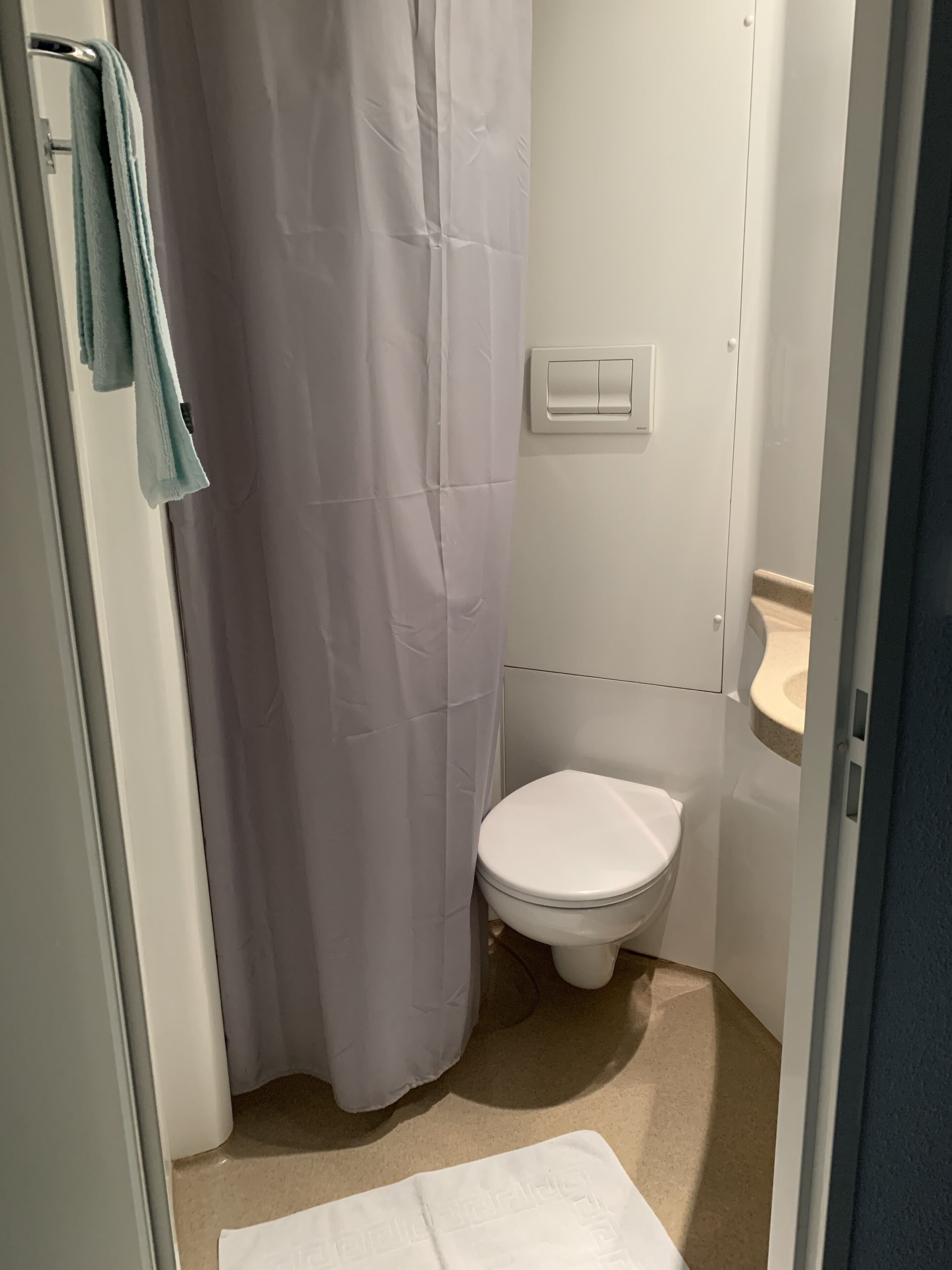 A bathroom with a white toilet, a beige sink, and a shower curtain.