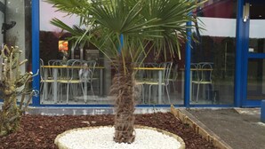 Een palmboom in een ronde plantenbak met witte kiezelstenen, omringd door mulch, voor een gebouw met blauw-witte gevel en glazen deuren.