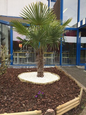 Jardines del alojamiento