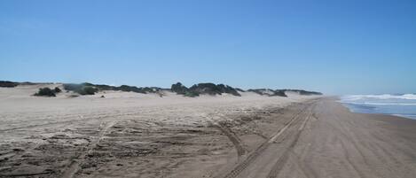 A sandy beach with tire tracks leading to the water, a clear sky, and sparse vegetation.