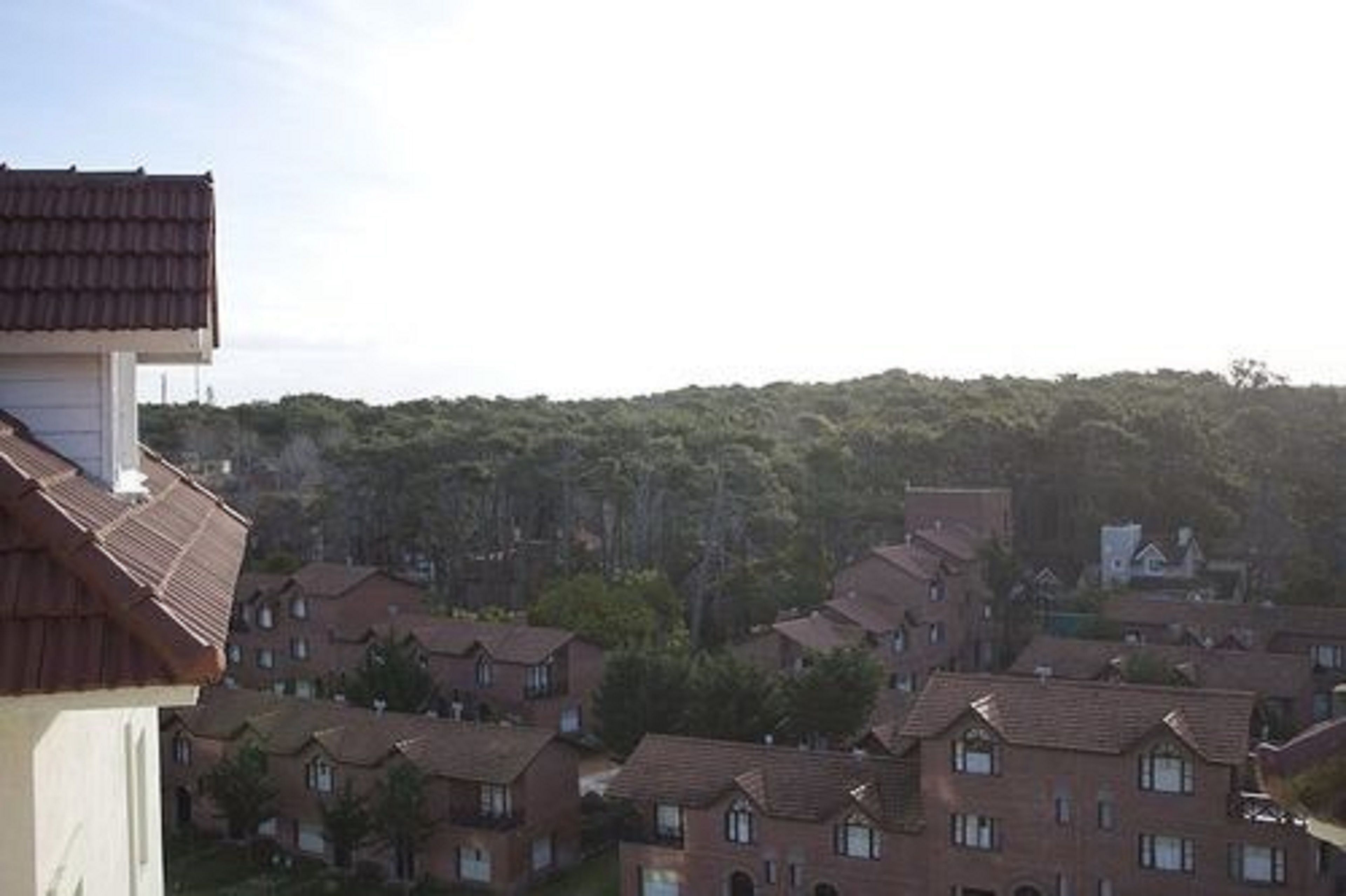 Zona residencial con varias casas, algunas con chimeneas y ventanas visibles, rodeada de árboles.