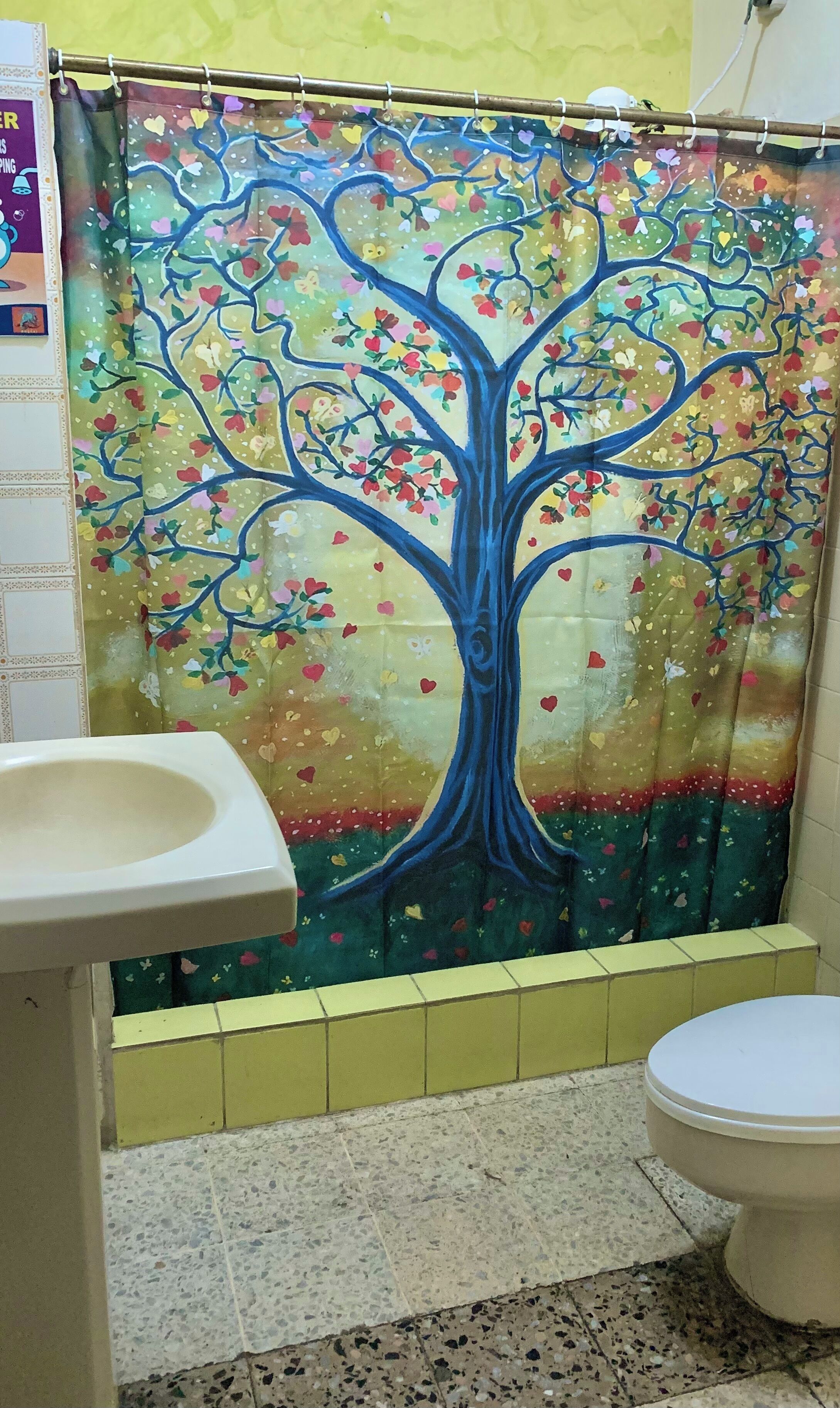 Foto - Tamarindo Hostel