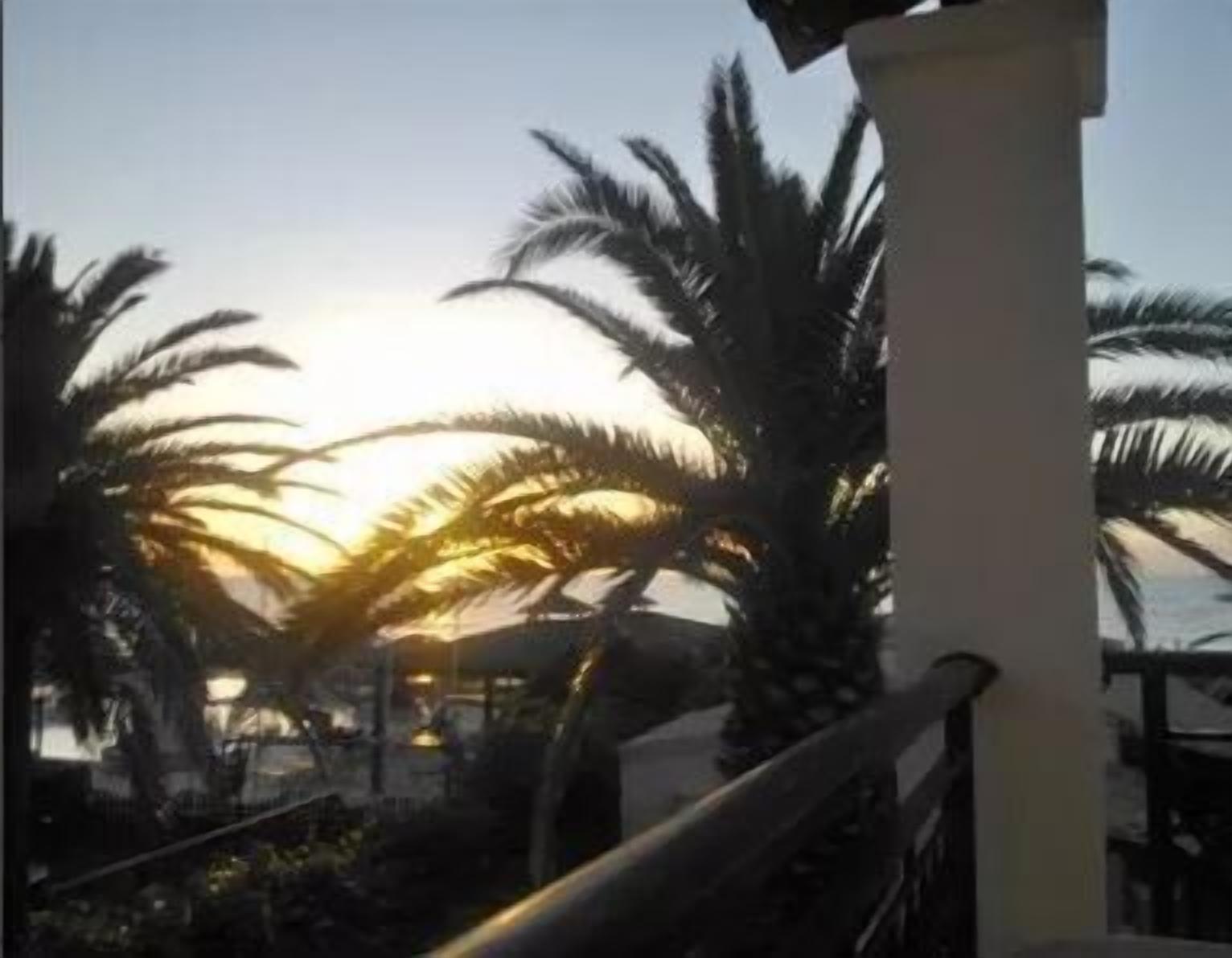 A sunset view with palm trees and a white column.