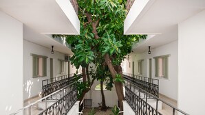 Un espace extérieur abrité, avec un arbre, des murs blancs et des volets verts.