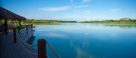 Petit déjeuner, déjeuner et dßner servis sur place, vue sur la plage