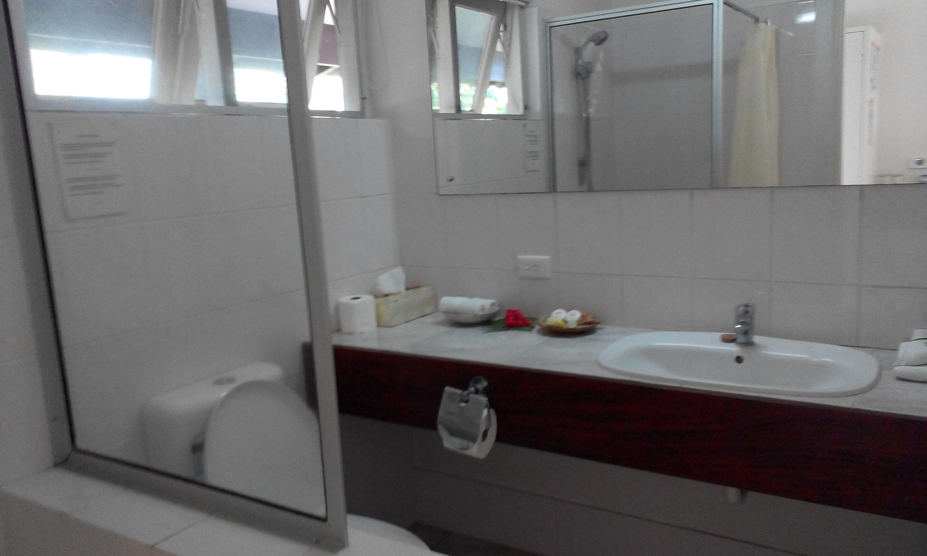 standard room, 1 queen bed, lagoon view | bathroom | shower, free toiletries, hair dryer, towels