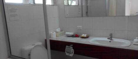 Un baño con ducha, inodoro, lavamanos y espejo.