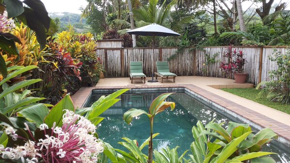 Outdoor pool, pool umbrellas, pool loungers