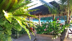 Ein tropisches Resort mit einem strohgedeckten Gebäude, einem Pool und üppiger Vegetation.