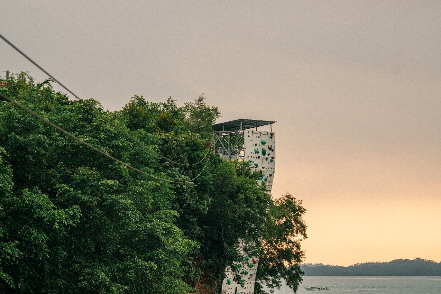A tall structure with climbing holds, surrounded by dense green foliage, overlooking a body of water.