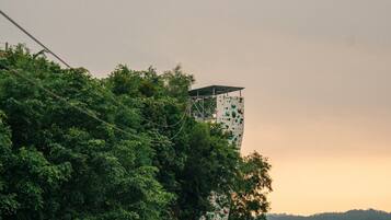 A tall structure with climbing holds, surrounded by dense green foliage, overlooking a body of water.