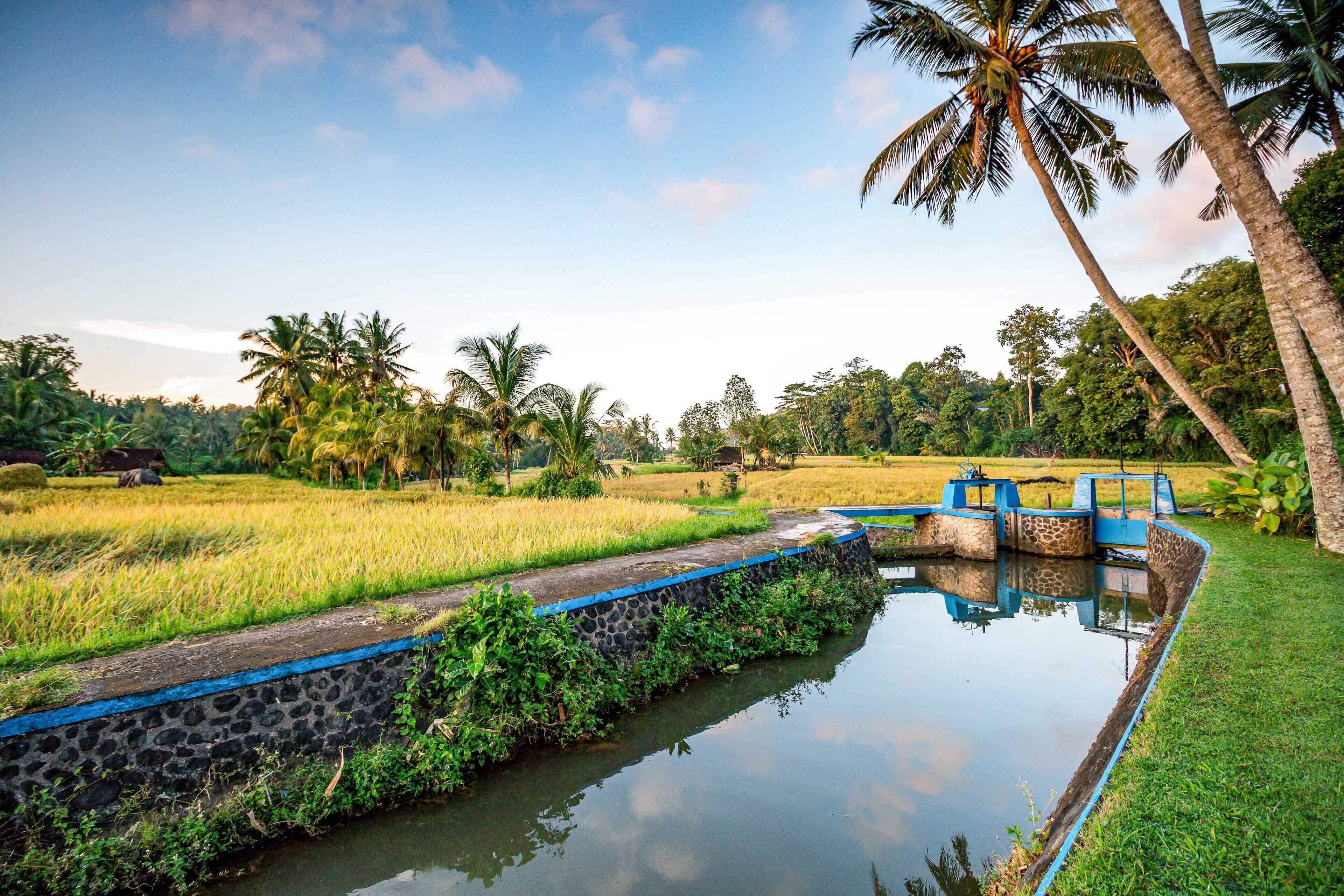 Foto - Villa Taman di Blayu by Nagisa Bali