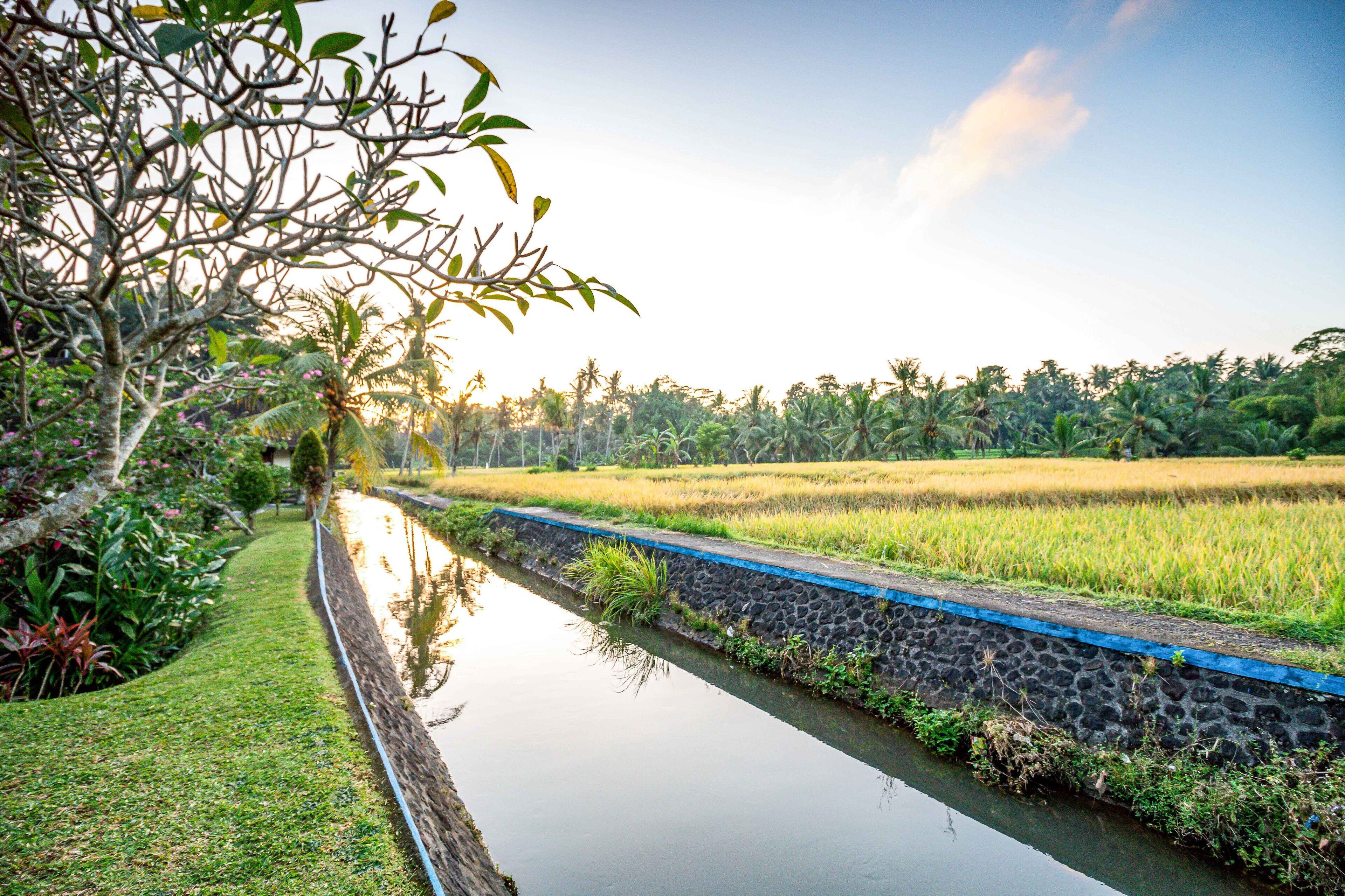 Foto - Villa Taman di Blayu by Nagisa Bali