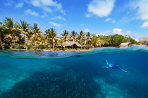 Ubicación a pie de playa, tumbonas, toallas de playa y buceo con tubo