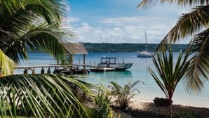 Vista de una playa con un muelle, barcos y palmeras.