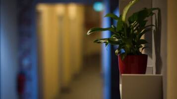 Dormitory with Shared Bathroom up to 6 persons Christmas Special | Individually decorated, desk, blackout drapes, free WiFi
