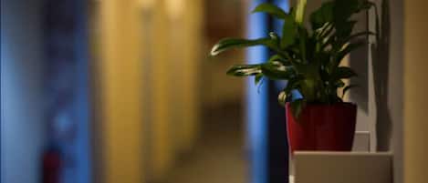 Dormitory with Shared Bathroom up to 6 persons Christmas Special | Individually decorated, desk, blackout drapes, free WiFi