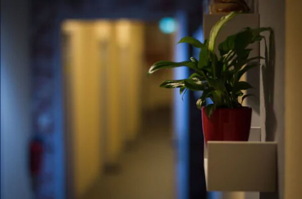 Dormitory with Shared Bathroom up to 6 persons Christmas Special | Individually decorated, desk, blackout drapes, free WiFi