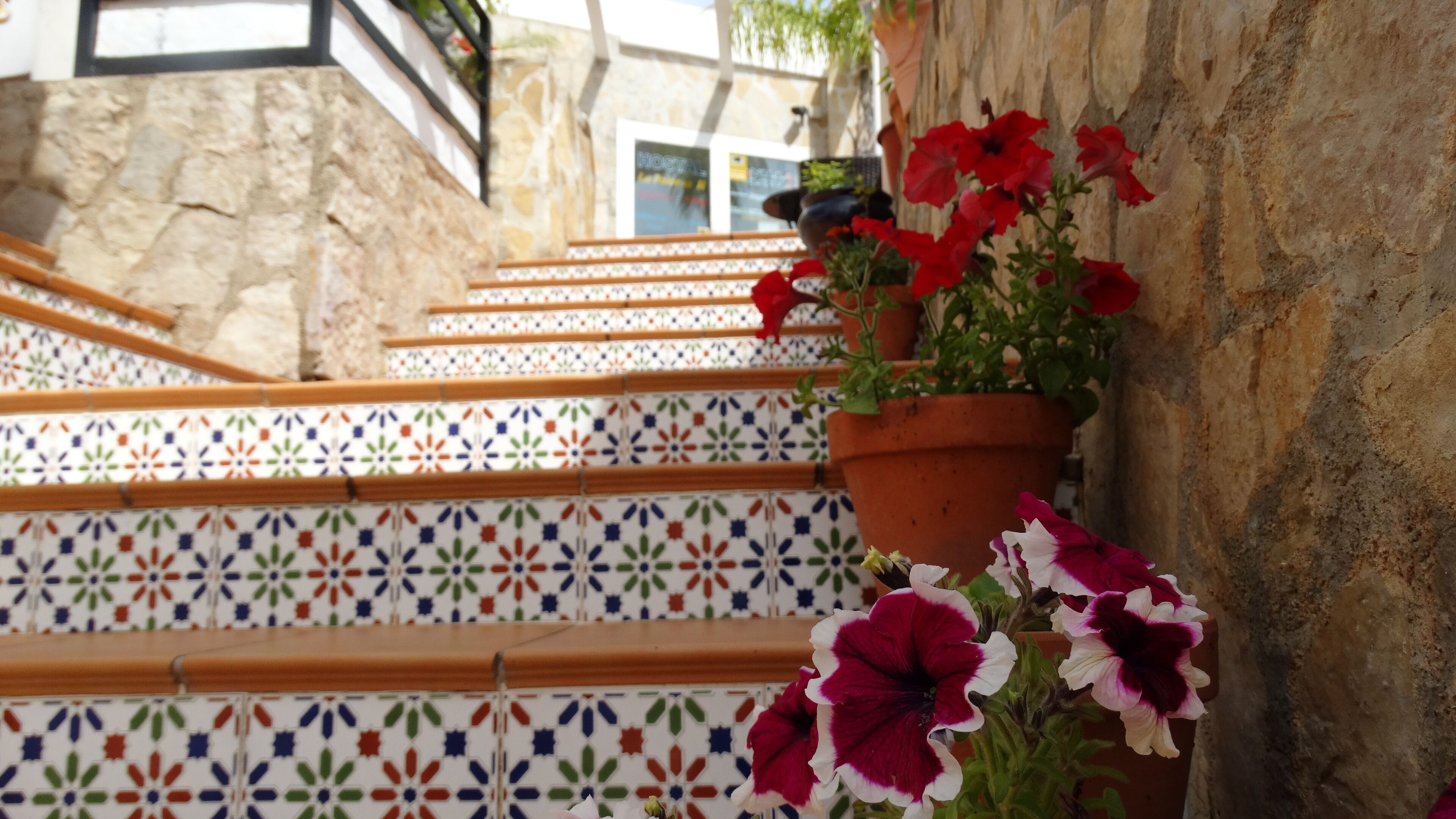 Photo - Hostal La Paloma II