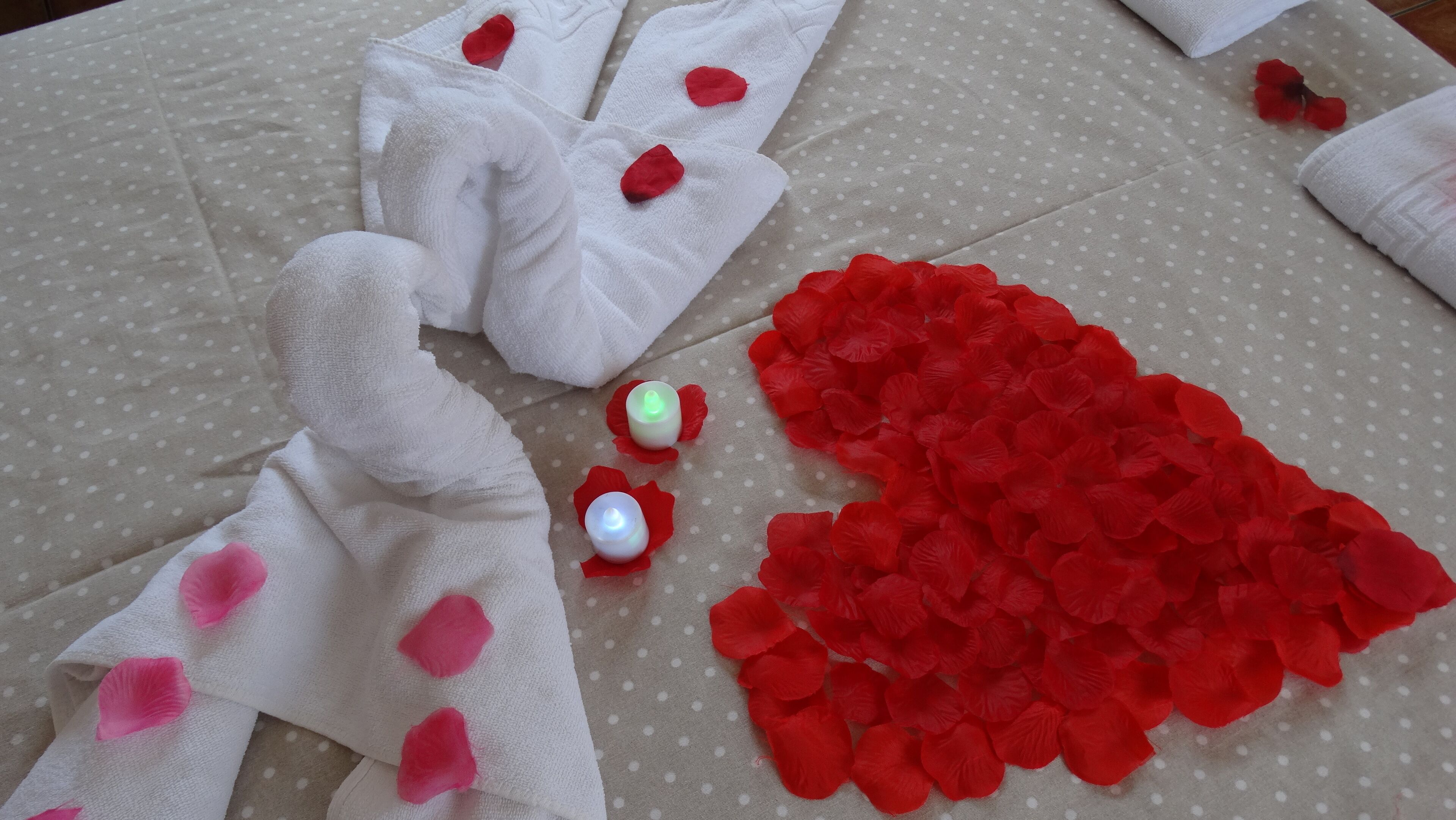 Photo - Hostal La Paloma II