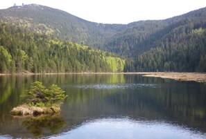 Wandelen