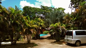 Un sendero pavimentado que lleva a una piscina rodeada de exuberante vegetación tropical.