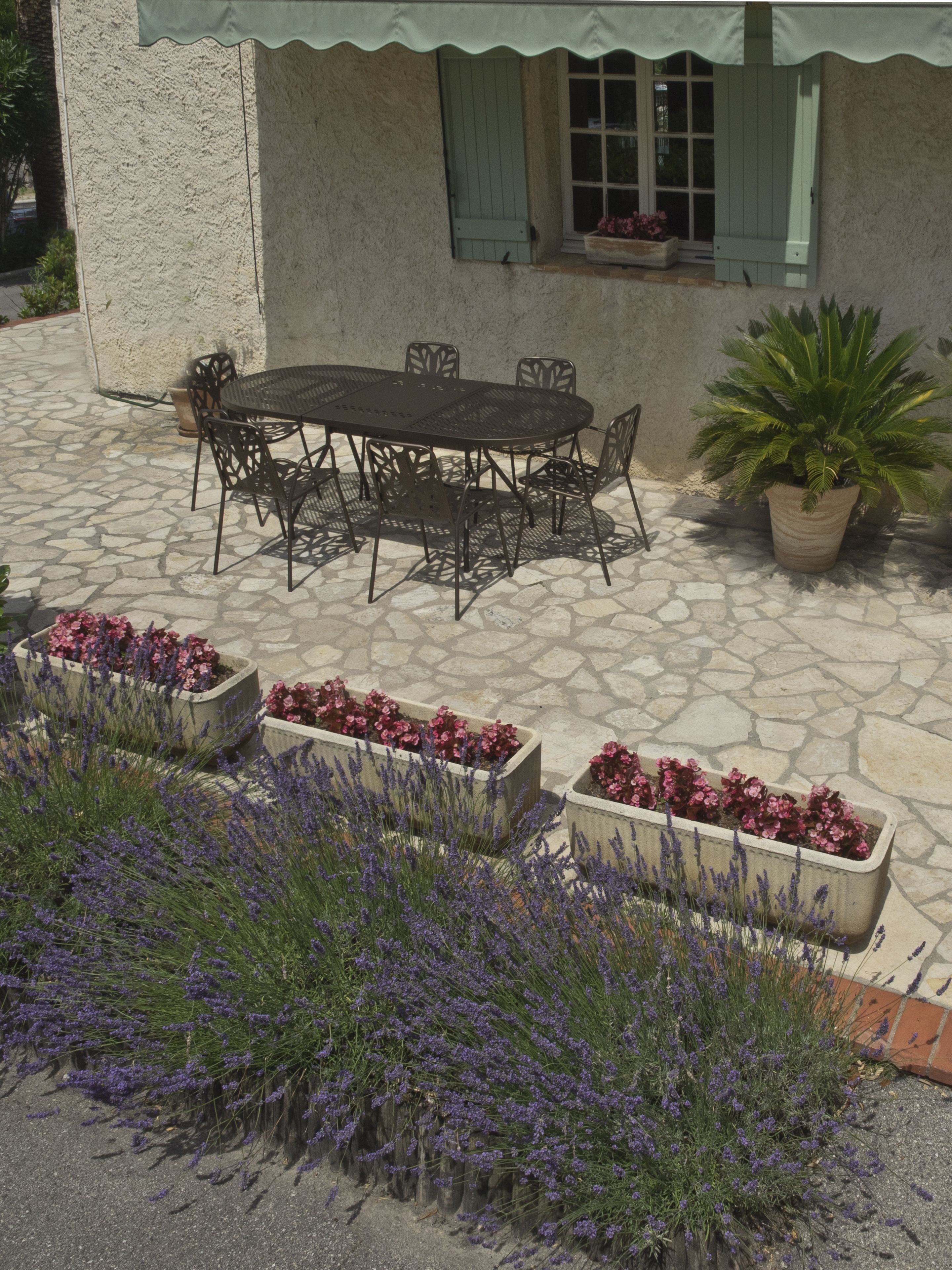 Terras