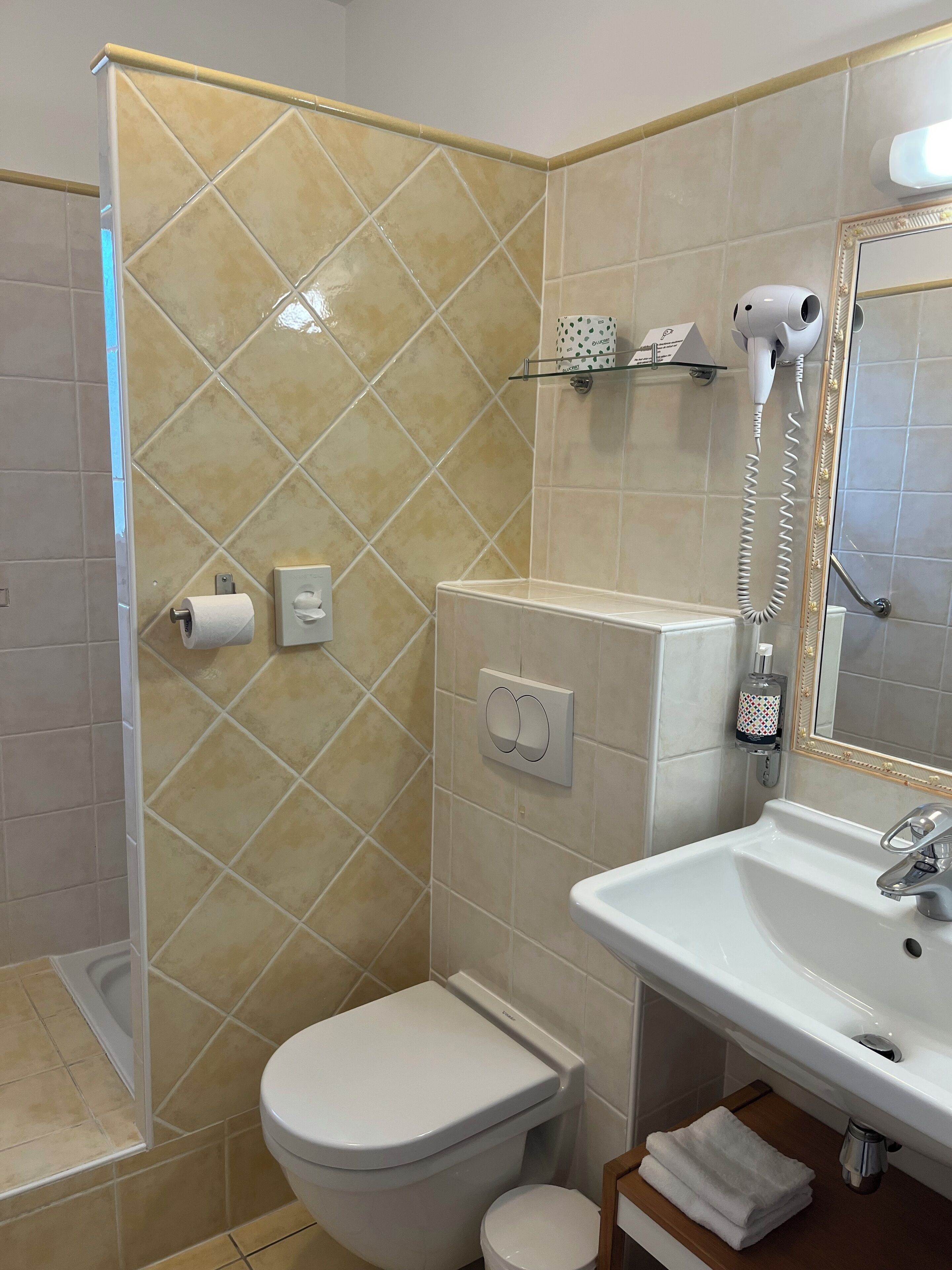 Un baño con ducha, inodoro, lavabo y espejo.