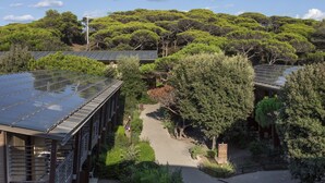 Ein Gebäude mit Solardach, umgeben von Bäumen und einem gepflasterten Weg.