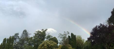 A lush green landscape with a rainbow in the sky.