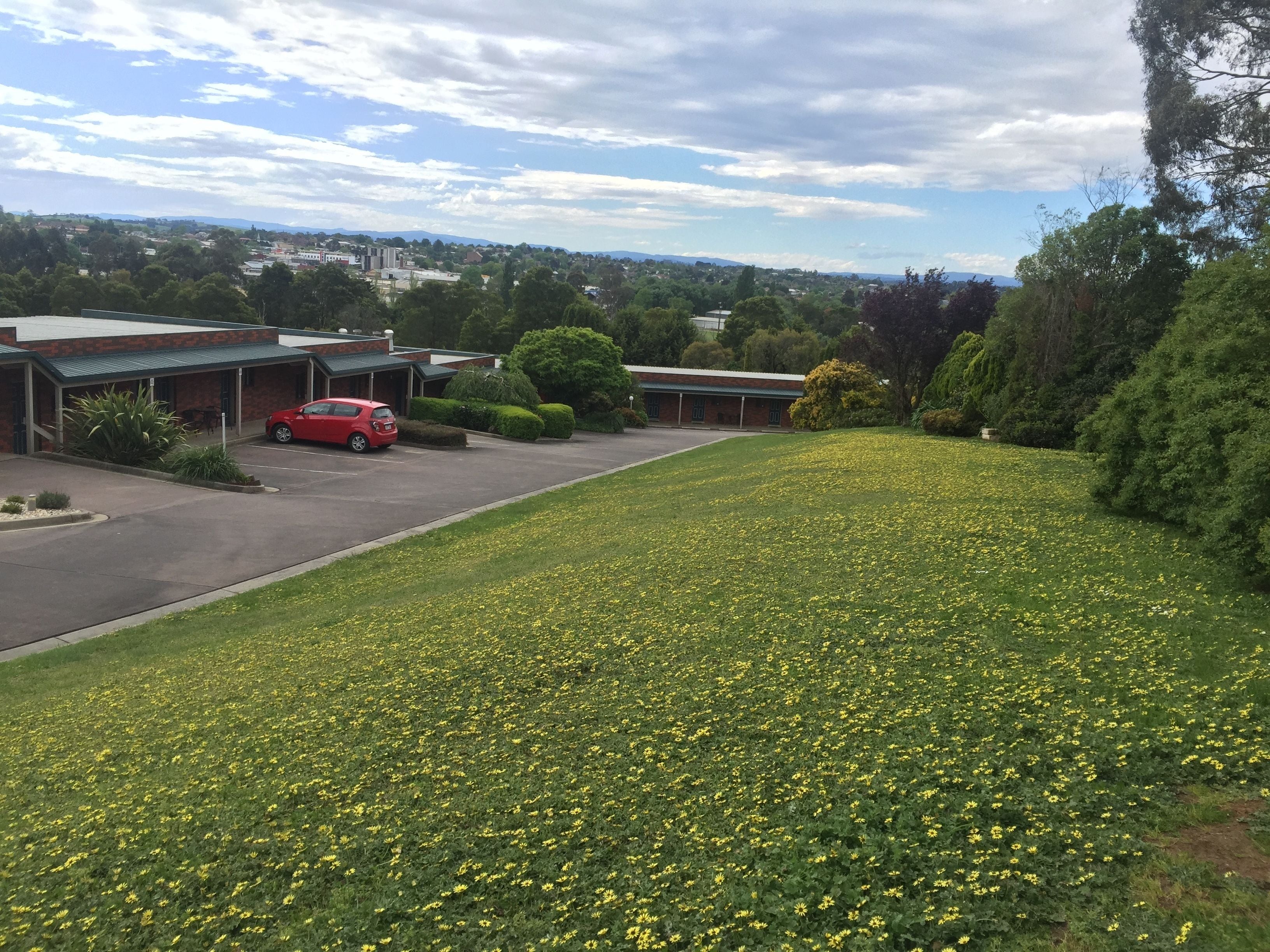 Ein Parkplatz mit einem roten Auto, einem Gebäude mit einem grünen Dach und einem Feld voller gelber Blumen.