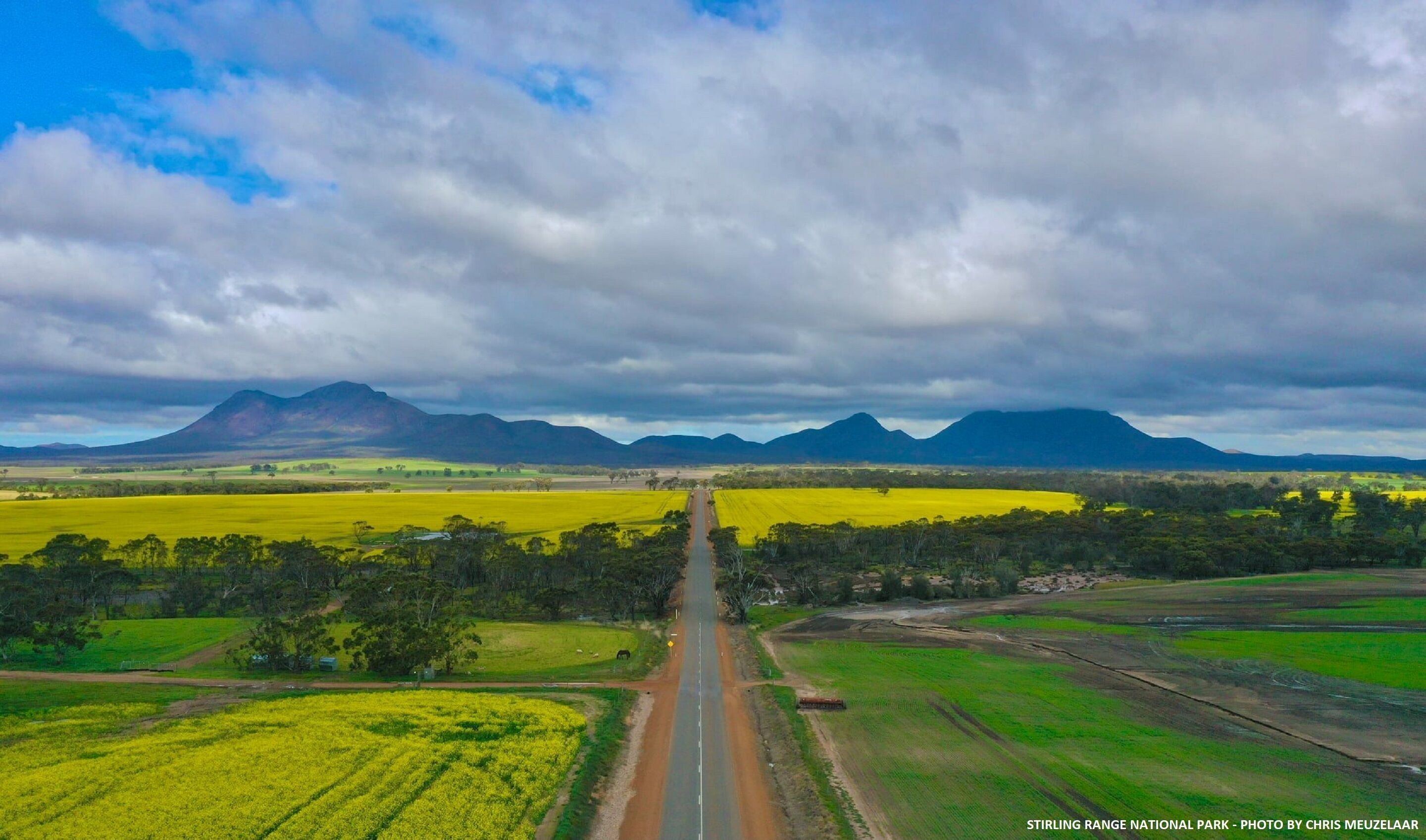A straight road leading through a rural landscape with fields of yellow crops and green pastures, under a cloudy sky with mountains in the distance.