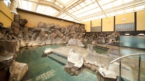 A large indoor pool with rock formations and a glass ceiling.