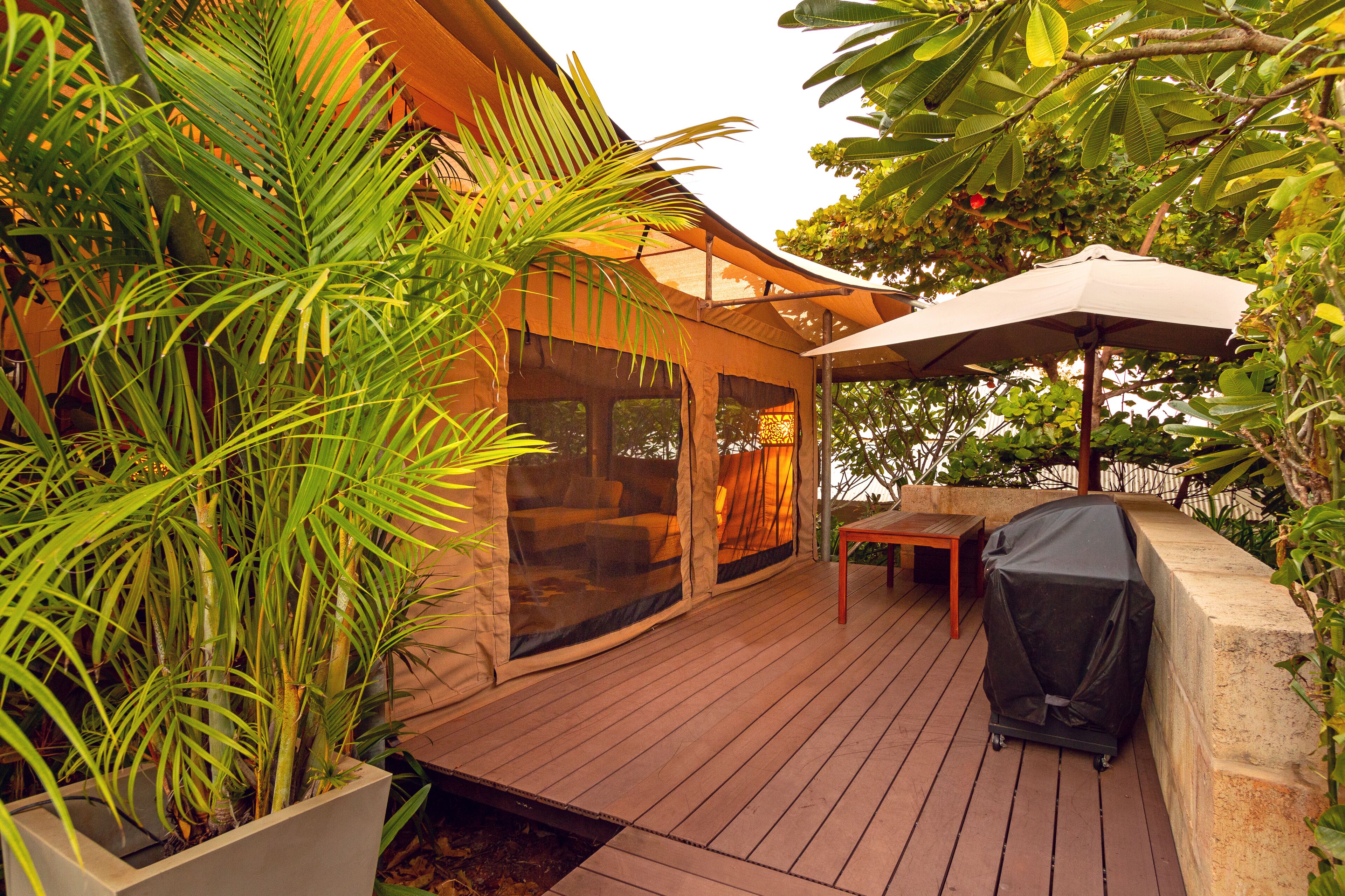 King Safari Tent (Children under 2 not permitted) | Terrace/patio