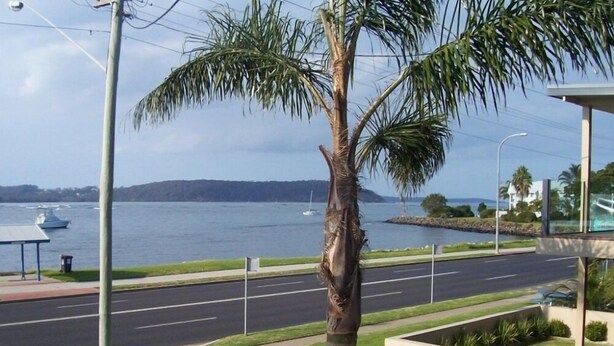 View from property - Beach Drive Motel (Batemans Bay)