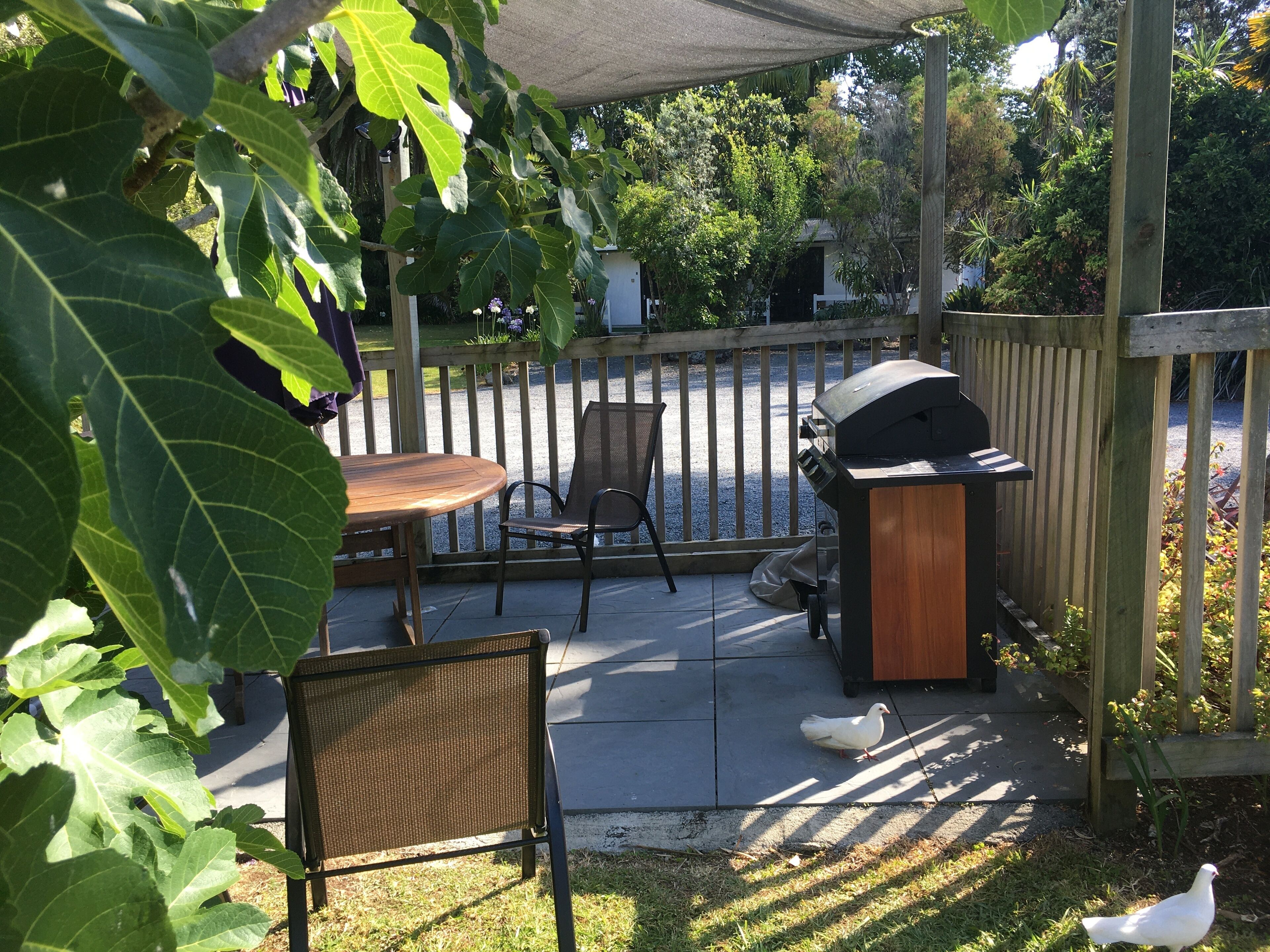 A patio with a table and chairs, a grill, and a wooden fence.
