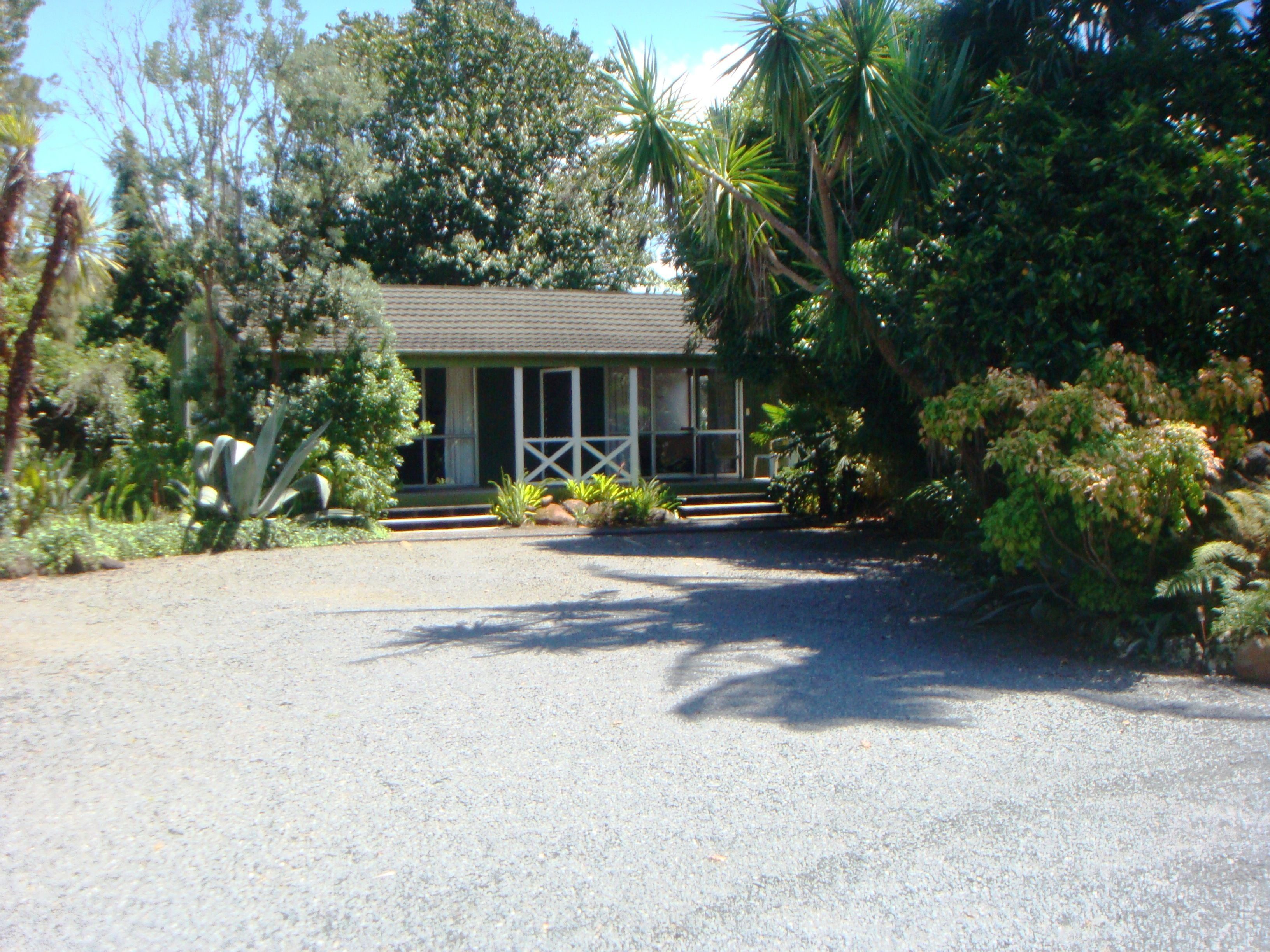 A house with a gravel driveway, surrounded by various plants and trees.
