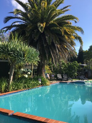 Una piscina rodeada de palmeras y sillas de descanso.
