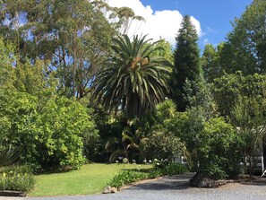 Garden - Colonial House Motel (Kerikeri)
