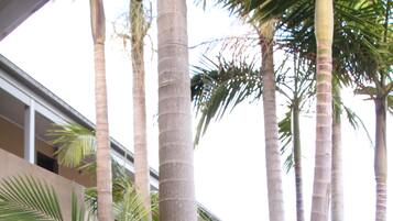 Alberca al aire libre y camastros
