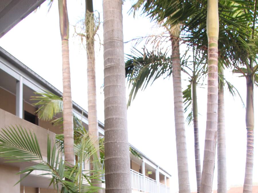 A building with multiple floors, a balcony, and palm trees in the foreground.