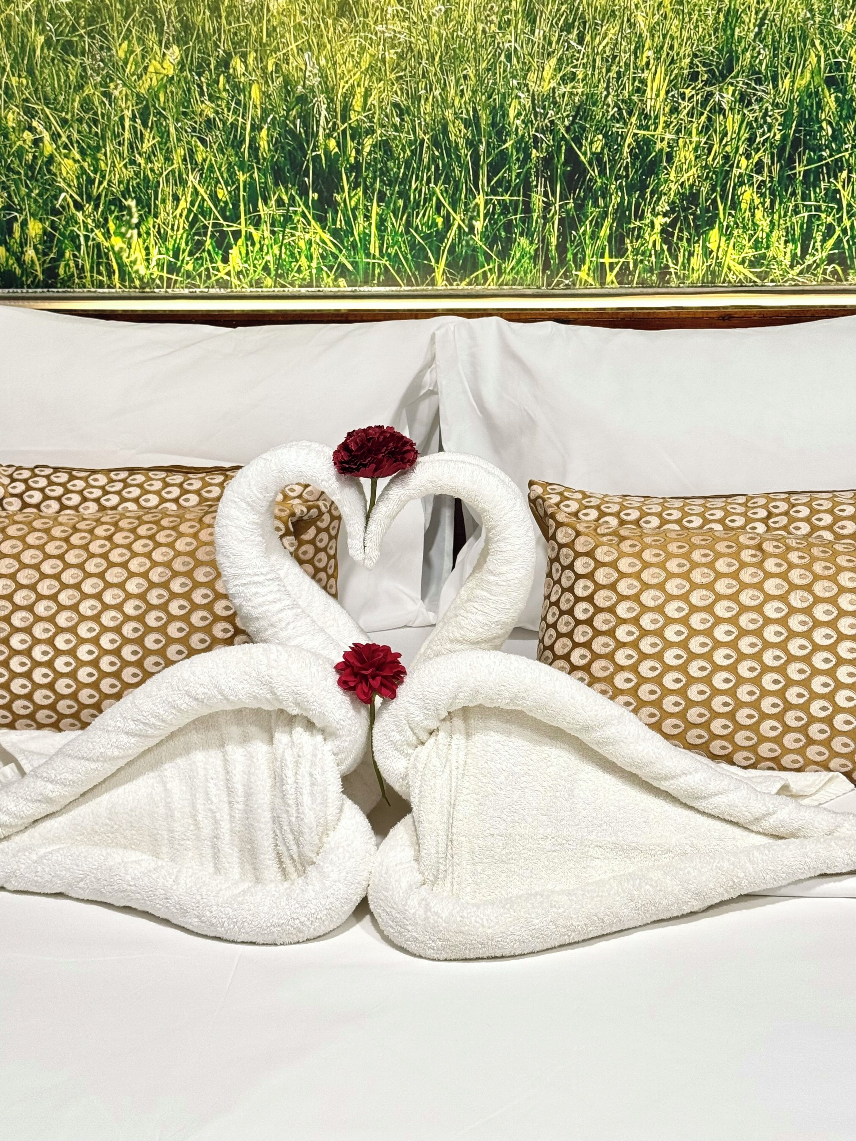 Ylelliset vuodevaatteet, Select Comfort -patjalliset sängyt, työpöytä